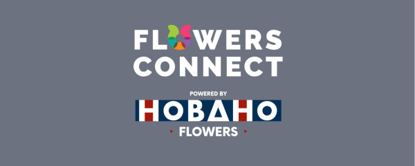 FlowersConnect by Hobaho Flowers 