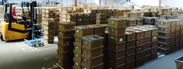 Veilingseizoen Veilingseizoen