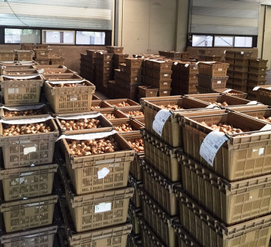 Veilingseizoen Veilingseizoen