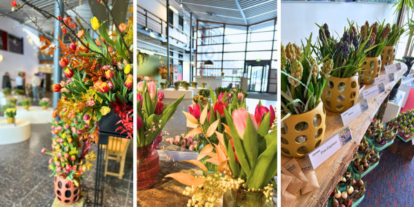 Informatiemiddag uitnodiging