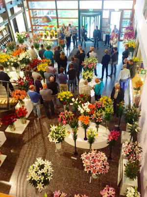 Veilingseizoen Veilingseizoen